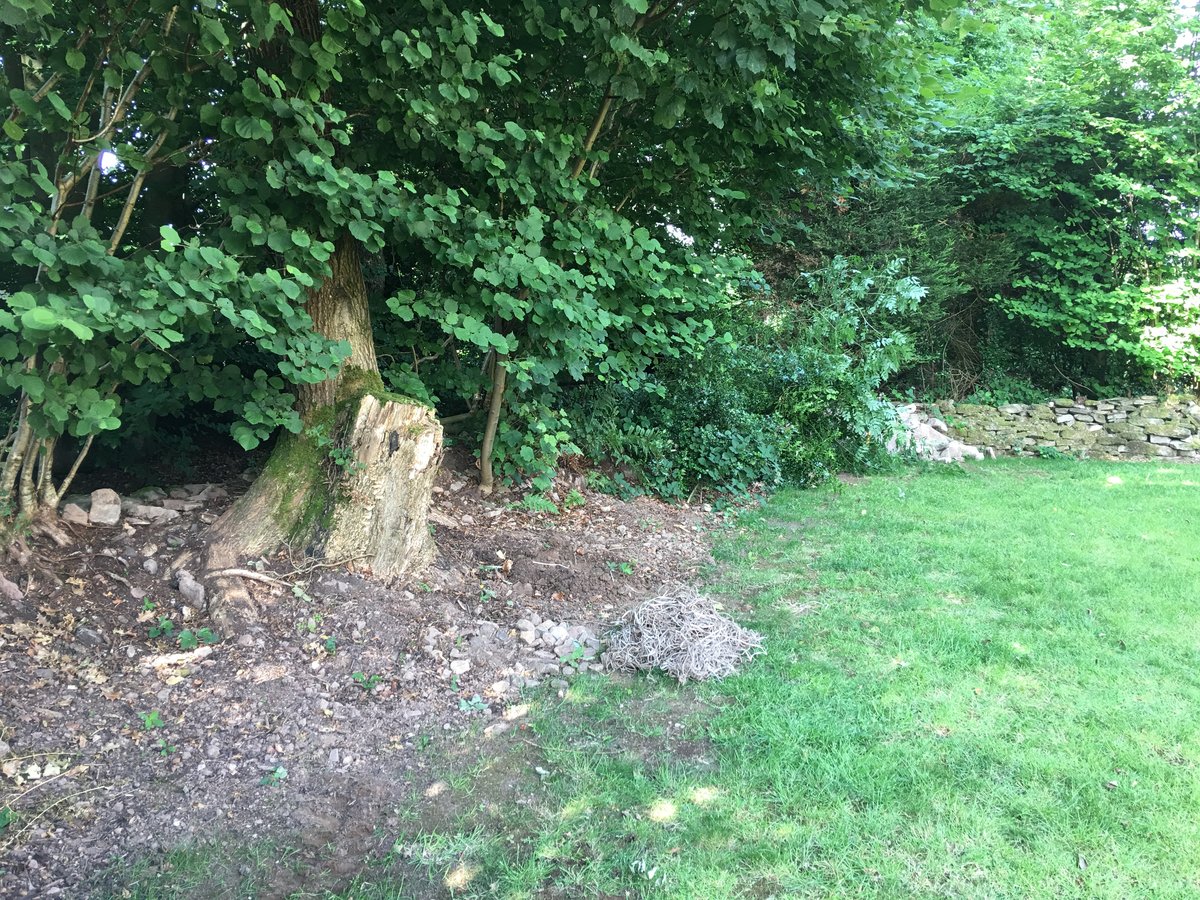 image shows: dry stone walling repairs the narth 