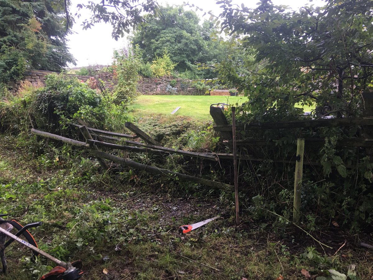 An image of fencing repair cleddon  goes here.