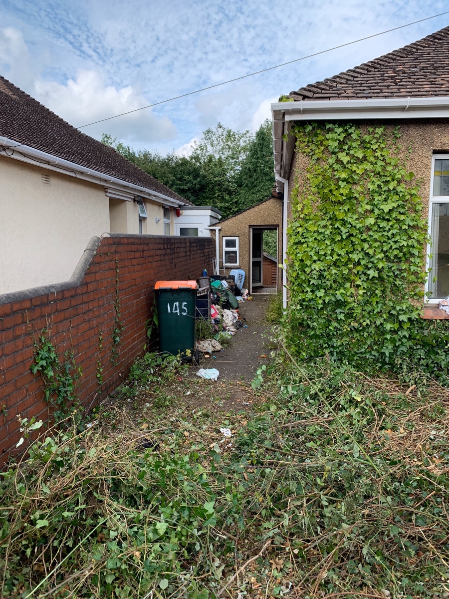 Overgrown garden clearanceImage with link to high resolution version