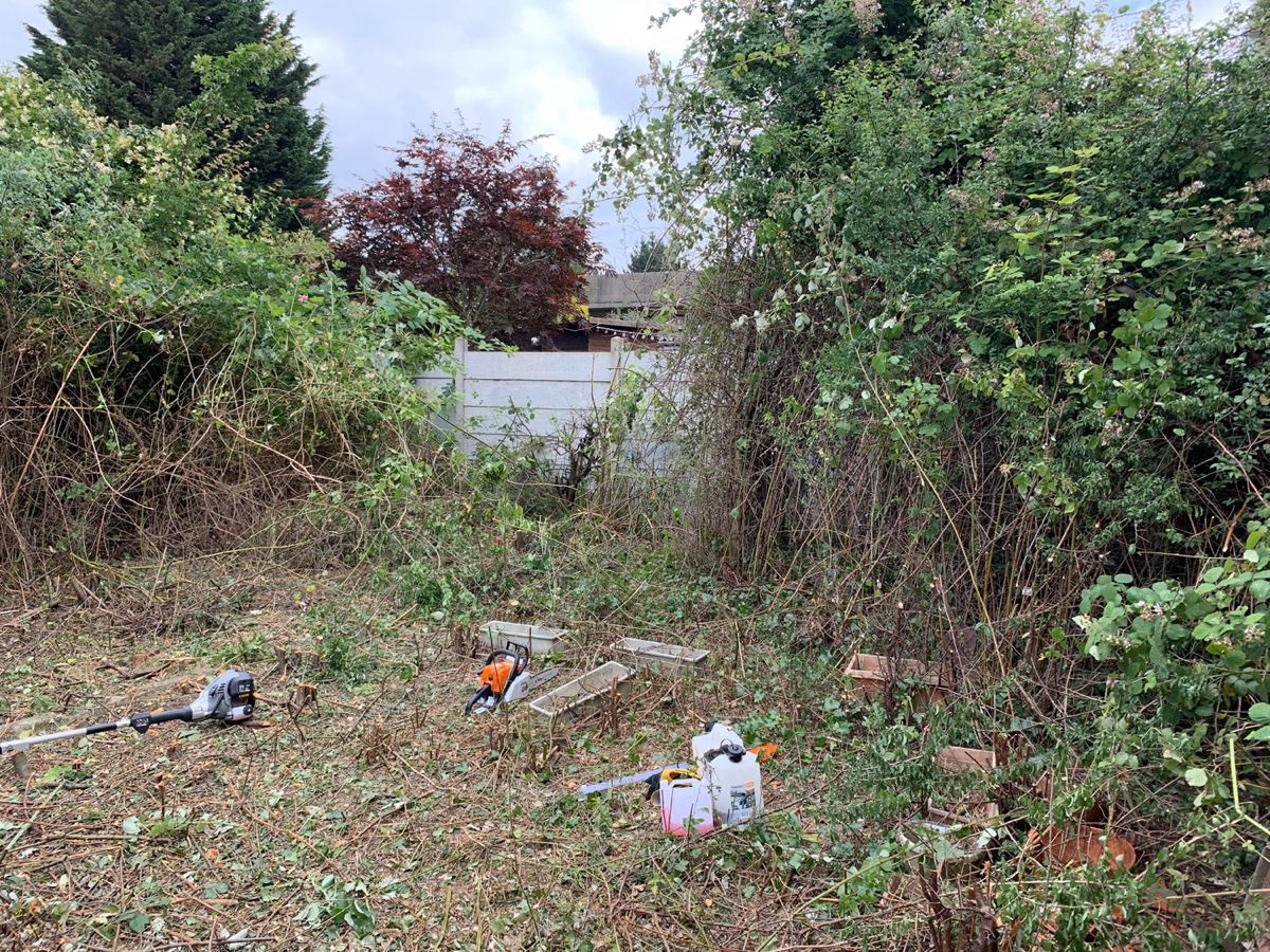 Overgrown garden clearanceImage with link to high resolution version