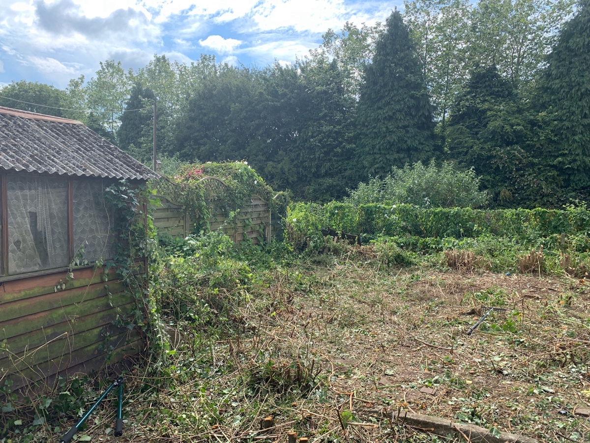 Overgrown garden clearanceImage with link to high resolution version