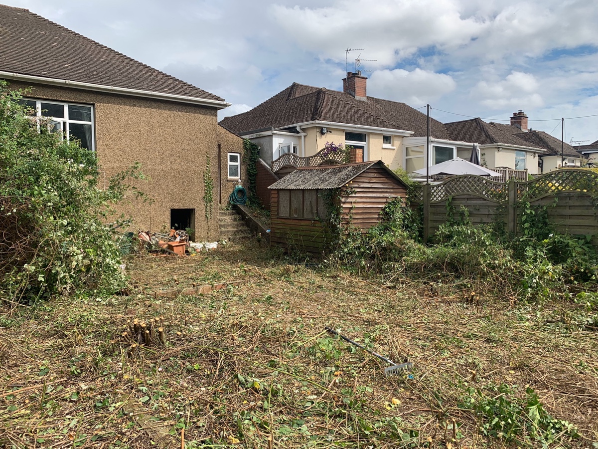 Overgrown garden clearanceImage with link to high resolution version