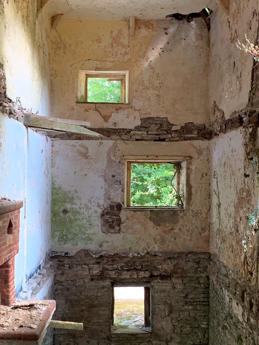 1112: Click here for full sized Period property restoration image and more information Period property restorationImage with link to high resolution version