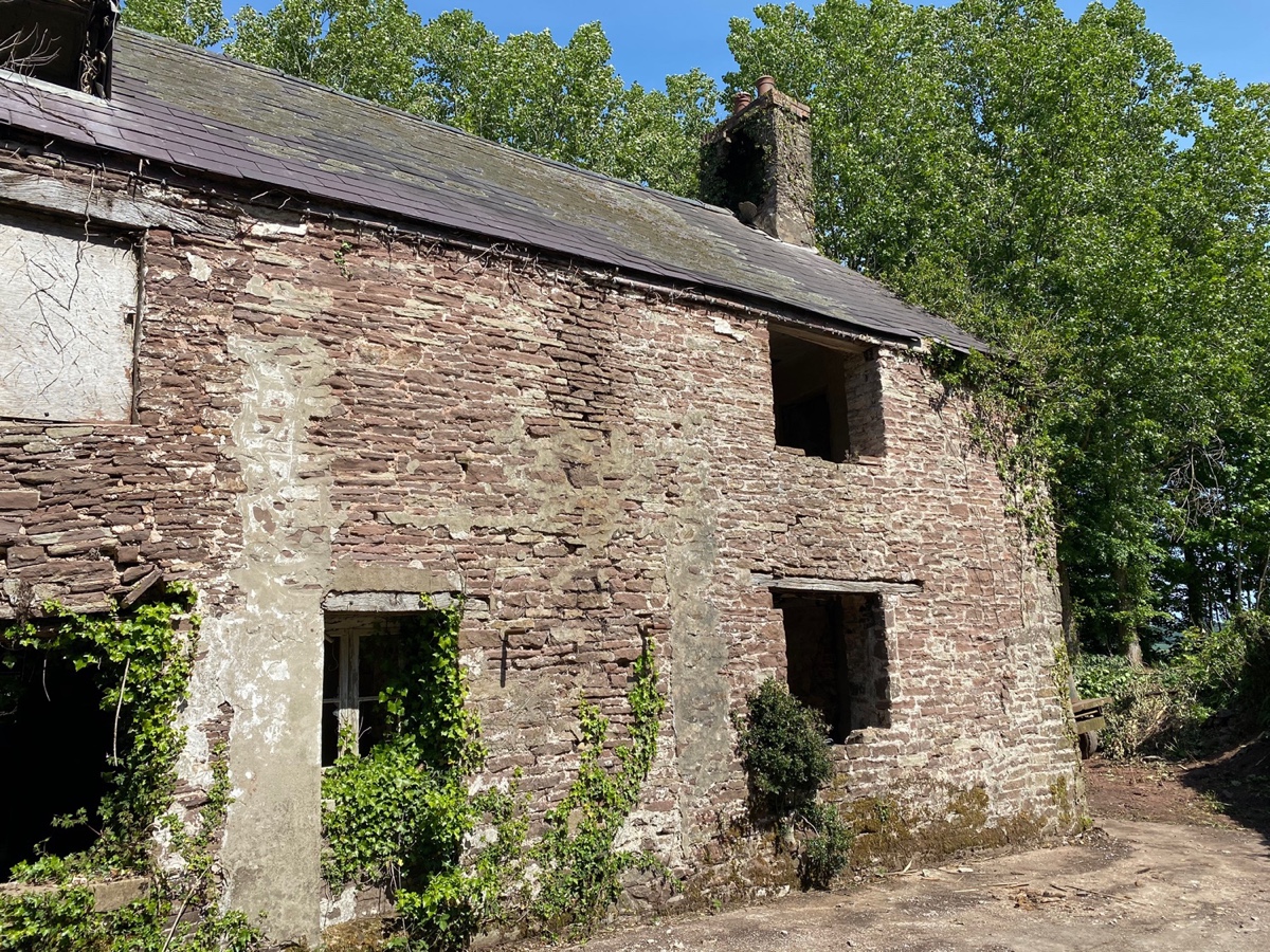 1119: Click here for full sized Period property restoration image and more information Period property restorationImage with link to high resolution version