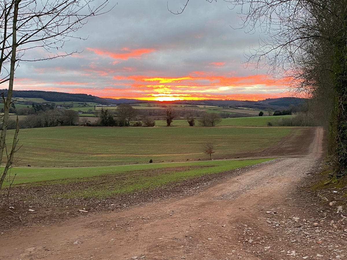 1163: Click here for full sized Period property restoration image and more information Period property restorationImage with link to high resolution version